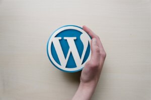 Waarom je je eigen WordPress-website moet laten bouwen